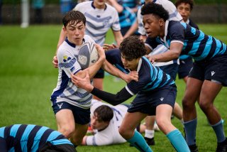 4788_jz2_7116.jpg - JPEG - 385.5 ko - 2000×1334 px