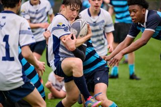 4793_jz2_7121.jpg - JPEG - 370.9 ko - 2000×1334 px