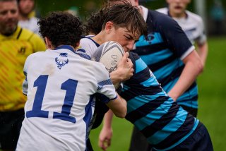 4797_jz2_7125.jpg - JPEG - 326.7 ko - 2000×1334 px