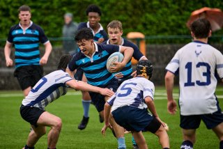 4919_jz1_8449.jpg - JPEG - 383.3 ko - 2000×1334 px