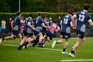 5085_jz2_7248.jpg - JPEG - 400.9 ko - 2000×1334 px