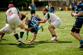 5231_jz2_7663.jpg - JPEG - 547.3 ko - 2000×1333 px