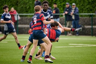 5498_jz1_8810.jpg - JPEG - 380.3 ko - 2000×1334 px