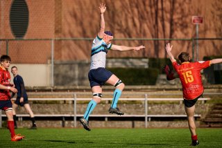 606_jz1_0411.jpg - JPEG - 378.5 ko - 2000×1333 px