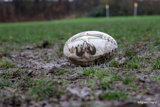 66-bj8a3942.jpg - JPEG - 263.3 ko - 1500×1000 px