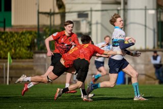 702_jz1_0496.jpg - JPEG - 372.7 ko - 2000×1333 px