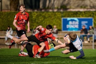 705_jz1_0499.jpg - JPEG - 418.8 ko - 2000×1334 px