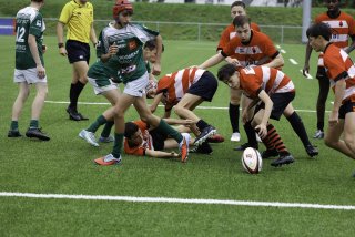 _46a2769.jpg - JPEG - 534.2 ko - 2000×1333 px