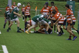 _46a2779.jpg - JPEG - 411.8 ko - 2000×1333 px