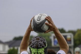 _46a2844.jpg - JPEG - 235 ko - 2000×1333 px