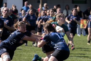 _i5a5153.jpg - JPEG - 335.1 ko - 2000×1333 px