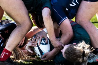 _i5a5192.jpg - JPEG - 536.3 ko - 2000×1333 px