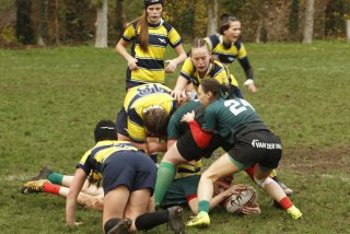 _mg_2162.jpg - JPEG - 394.7 ko - 2000×1333 px