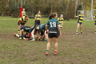 _mg_2164.jpg - JPEG - 548.8 ko - 2000×1333 px