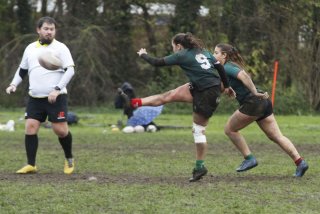 _mg_2171.jpg - JPEG - 333.9 ko - 2000×1333 px