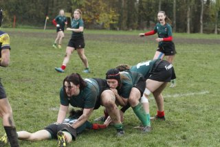 _mg_2177.jpg - JPEG - 394.7 ko - 2000×1333 px