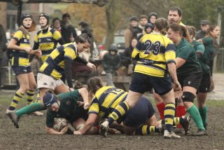 _mg_2178.jpg - JPEG - 393.7 ko - 2000×1333 px