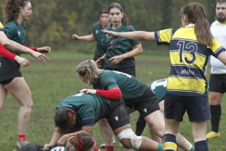 _mg_2185.jpg - JPEG - 307.1 ko - 2000×1333 px