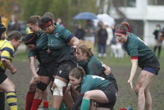 _mg_2190.jpg - JPEG - 316.6 ko - 2000×1333 px