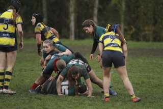 _mg_2207.jpg - JPEG - 331.1 ko - 2000×1333 px