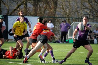 _mg_3303.jpg - JPEG - 442.9 ko - 2000×1333 px