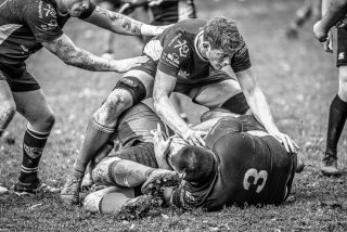 _nz85656.jpg - JPEG - 254.2 ko - 1024×683 px