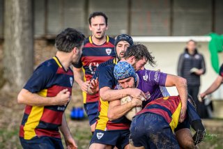 _nz87002.jpg - JPEG - 181.4 ko - 1024×683 px