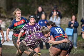 _nz88546.jpg - JPEG - 193.3 ko - 1024×682 px