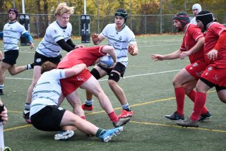 copie_de_dsc_1906.jpg - JPEG - 492.5 ko - 2000×1333 px