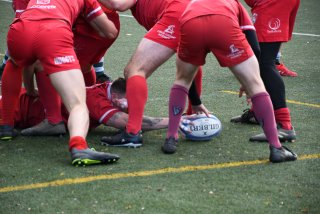 copie_de_dsc_1909.jpg - JPEG - 395.1 ko - 2000×1333 px