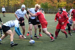 copie_de_dsc_1939.jpg - JPEG - 540.9 ko - 2000×1333 px