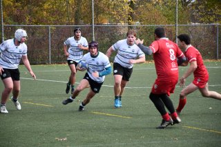 copie_de_dsc_2090.jpg - JPEG - 540.3 ko - 2000×1333 px