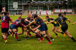 dsc01740-2.jpg - JPEG - 642.5 ko - 2000×1334 px