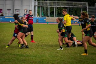 dsc02019.jpg - JPEG - 568.3 ko - 2000×1334 px