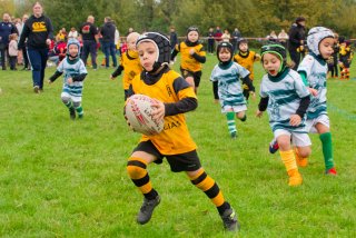 dsc02311_dxo_2048.jpg - JPEG - 542.7 ko - 2000×1333 px