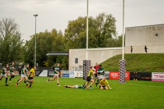 dsc02316.jpg - JPEG - 626.2 ko - 2000×1334 px