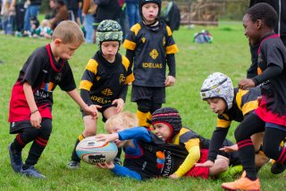 dsc02383_dxo_2048.jpg - JPEG - 481.7 ko - 2000×1333 px