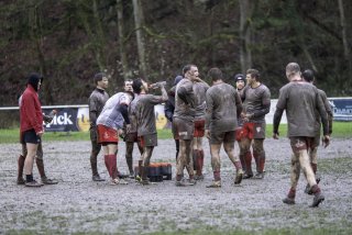 dsc02384-avec_accentuation-bruit.jpg - JPEG - 490.8 ko - 2000×1334 px