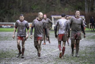 dsc02405-avec_accentuation-bruit.jpg - JPEG - 461.3 ko - 2000×1334 px