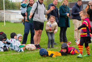 dsc02429_dxo_2048.jpg - JPEG - 563.6 ko - 2000×1333 px