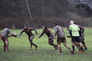 dsc02445-avec_accentuation-bruit.jpg - JPEG - 358 ko - 2000×1334 px