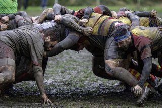 dsc02518-avec_accentuation-bruit.jpg - JPEG - 488.7 ko - 2000×1333 px