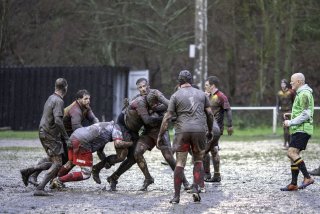 dsc02680-avec_accentuation-bruit.jpg - JPEG - 523.6 ko - 2000×1334 px