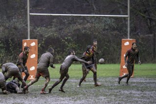 dsc02730-avec_accentuation-bruit.jpg - JPEG - 420 ko - 2000×1333 px