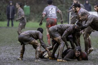 dsc02805-avec_accentuation-bruit.jpg - JPEG - 416.7 ko - 2000×1334 px