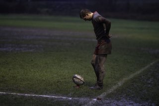 dsc02965-avec_accentuation-bruit.jpg - JPEG - 259.7 ko - 2000×1334 px