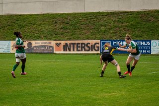 dsc03012.jpg - JPEG - 711.8 ko - 2000×1334 px