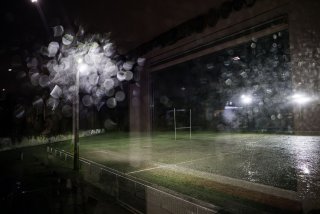 dsc03037-avec_accentuation-bruit.jpg - JPEG - 380.9 ko - 2000×1334 px