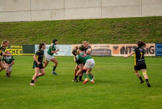 dsc03095.jpg - JPEG - 722 ko - 2000×1333 px