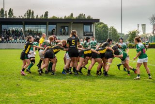 dsc03261.jpg - JPEG - 701.9 ko - 2000×1333 px